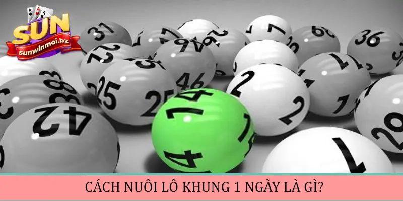 Thế nào là cách nuôi lô khung 1 ngày?