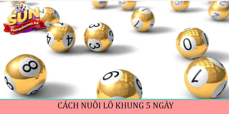 Khái niệm về cách nuôi lô khung 5 ngày