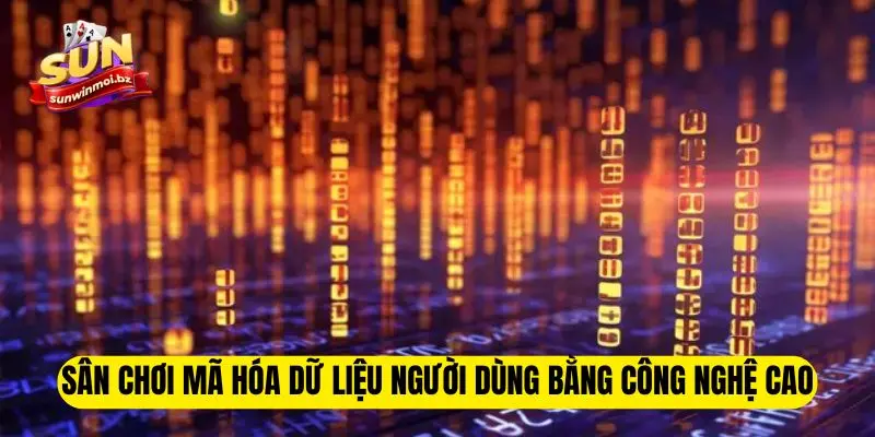 Chính Sách Bảo Mật Sunwin - Quy Tắc Mới Nhất Năm 2025 2 Sân chơi mã hóa dữ liệu người dùng bằng công nghệ cao