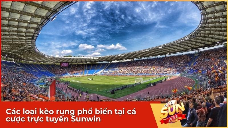 Hệ thống nhà cái uy tín Sunwin cung cấp đầy đủ các mã kèo rung để phục vụ người chơi