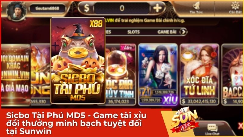 Sicbo Tài Phú MD5 - Game tài xỉu đổi thưởng minh bạch tuyệt đối tại Sunwin